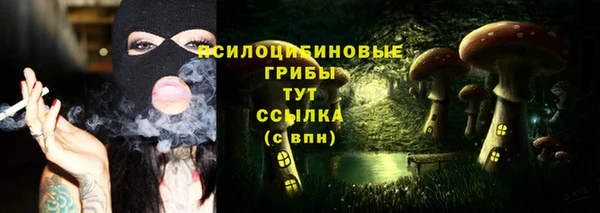 соль курить ск Алексин