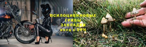соль курить ск Алексин
