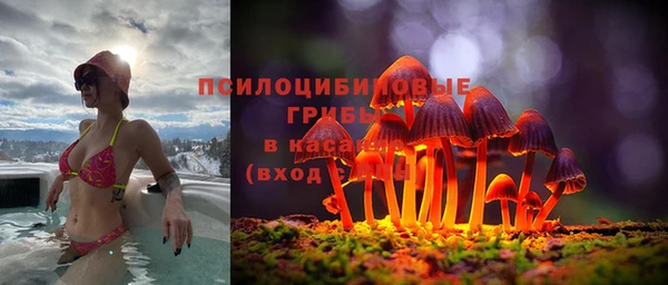 дурь Абинск